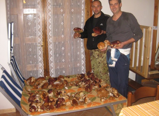 This pair of Italian mushroom