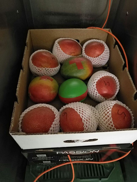 Mangosensor.jpg