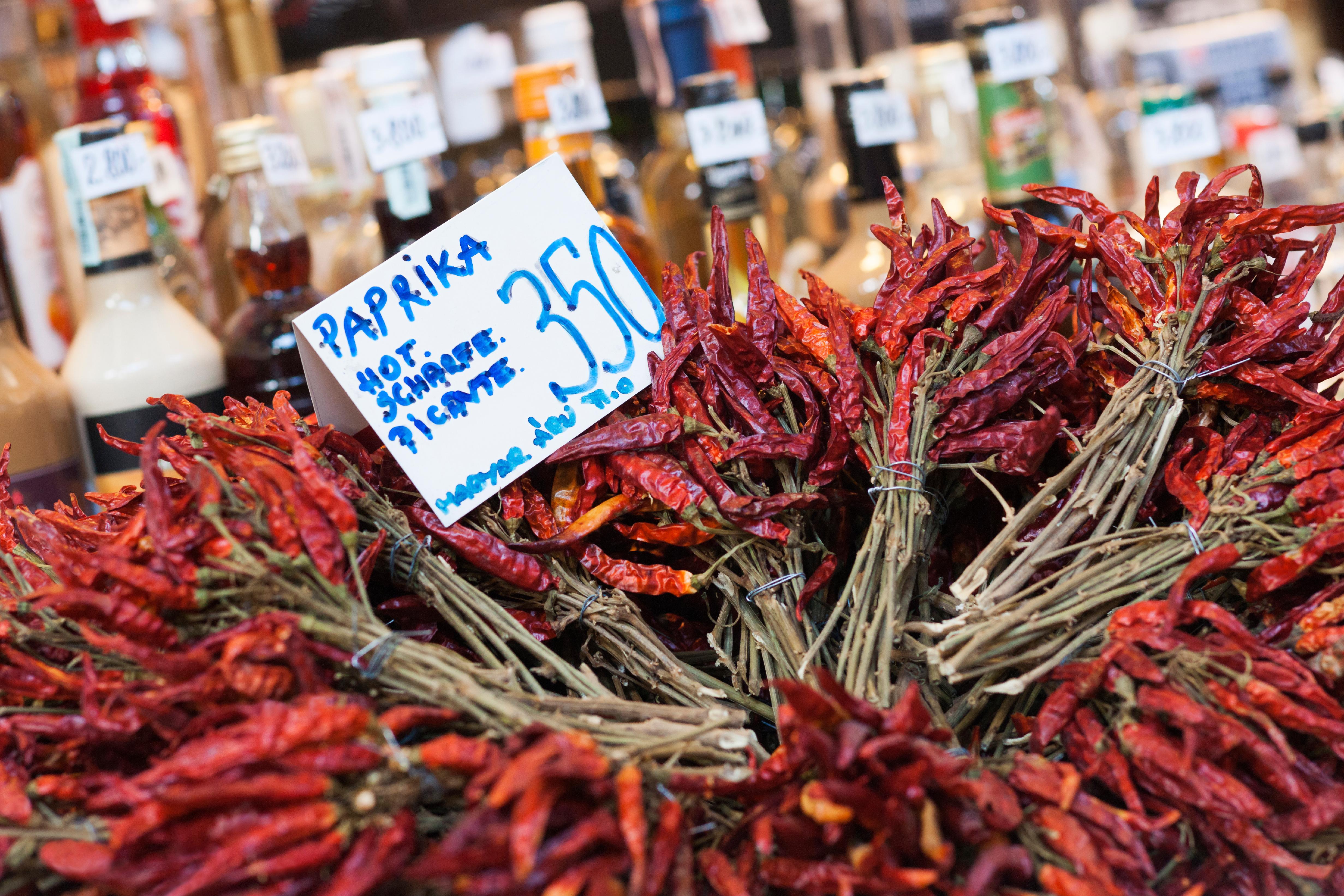 Dried bunches of red paprika in Budapest
