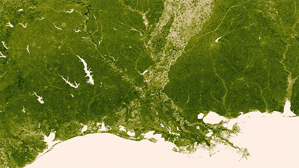 Here you can see the Mississippi River and its tributaries drain into the Gulf of Mexico.