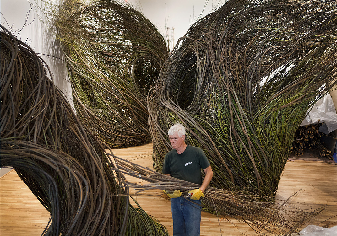Shindig by Patrick Dougherty, 2015
