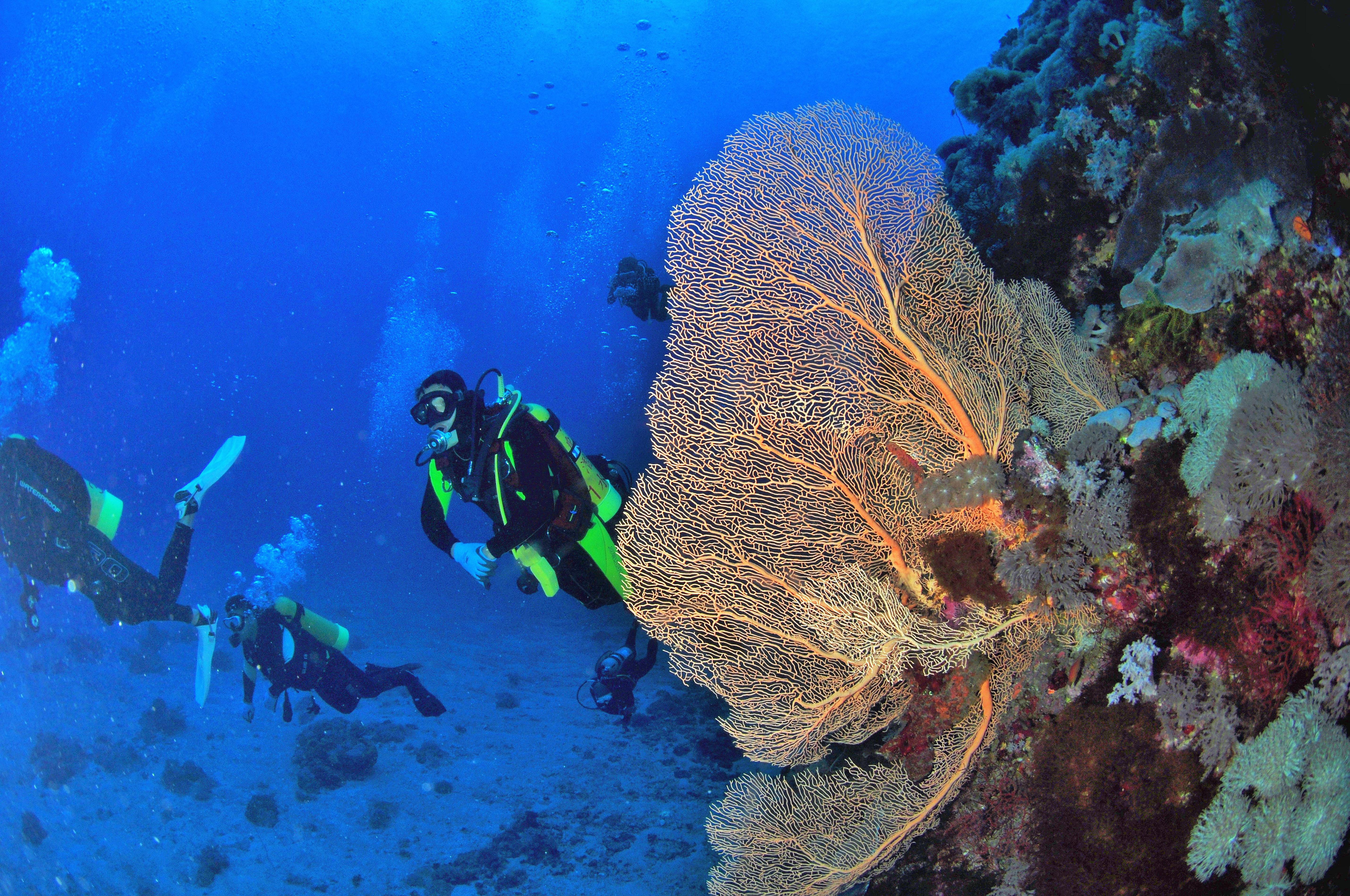 Scuba Diving-Green Island.JPG