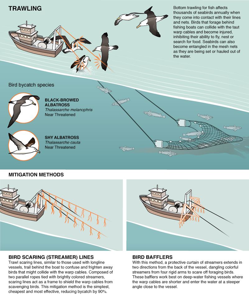 trawl.png