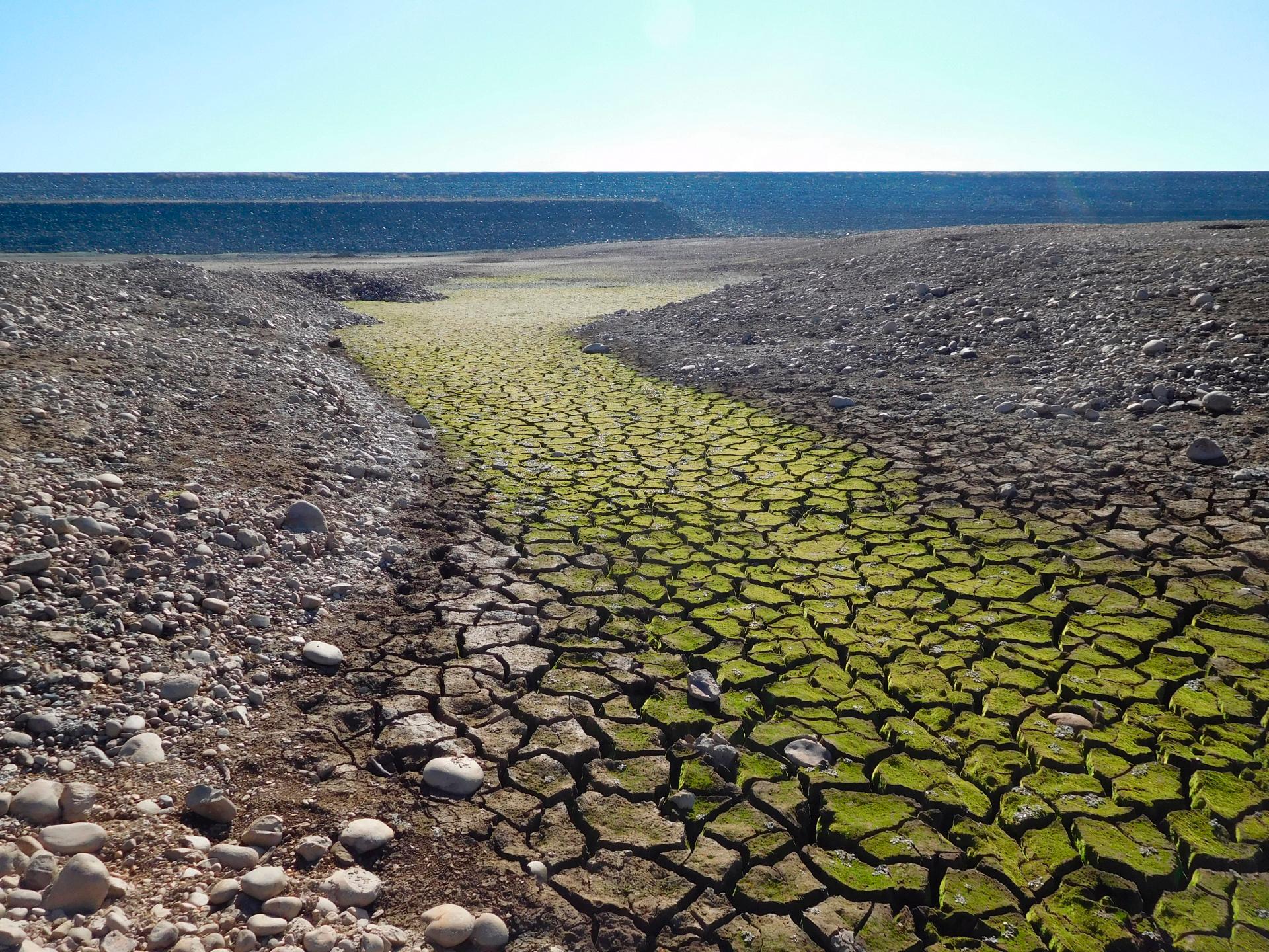 The bed of Folsom Lake