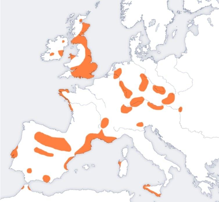 Bell Beaker Sites