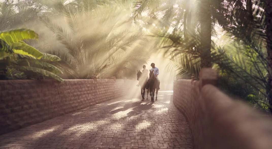 Abu Dhabi Oasis