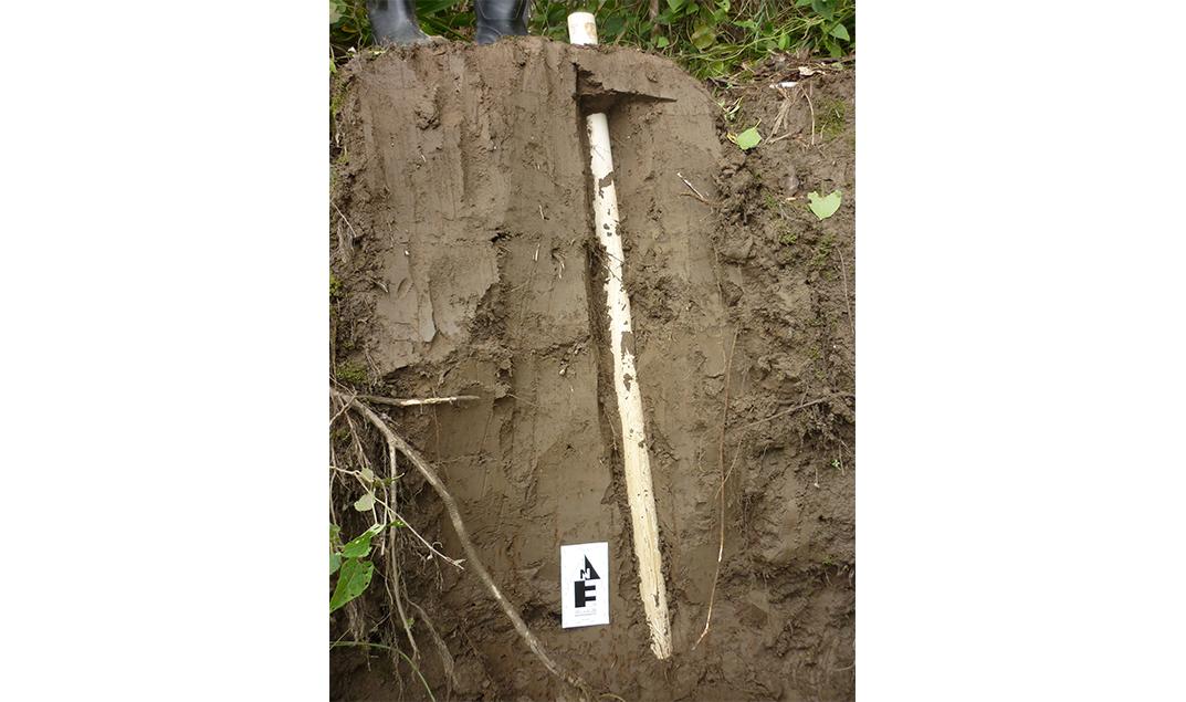 Core Samples