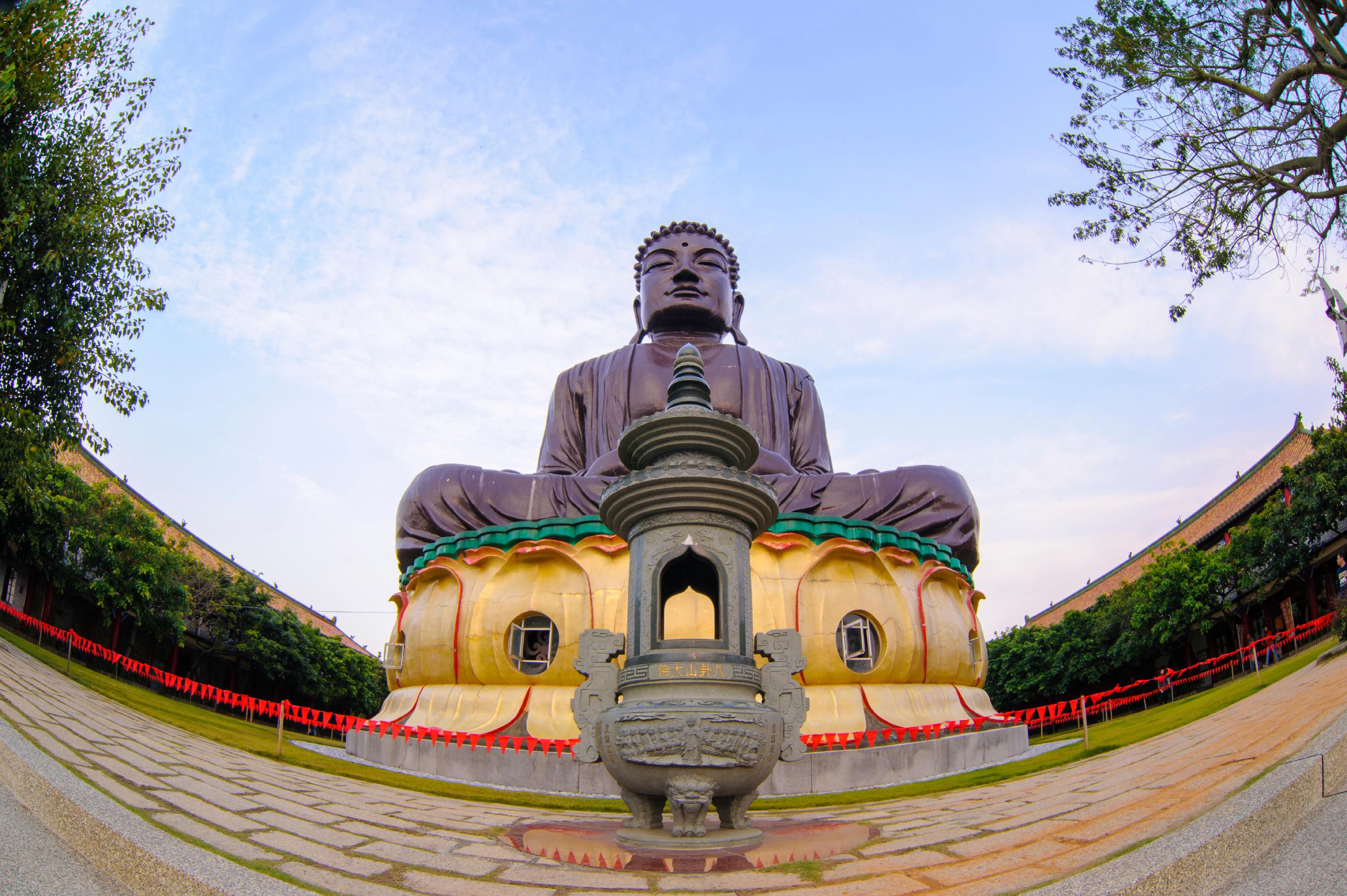 iStock_000056014618_Large.jpg