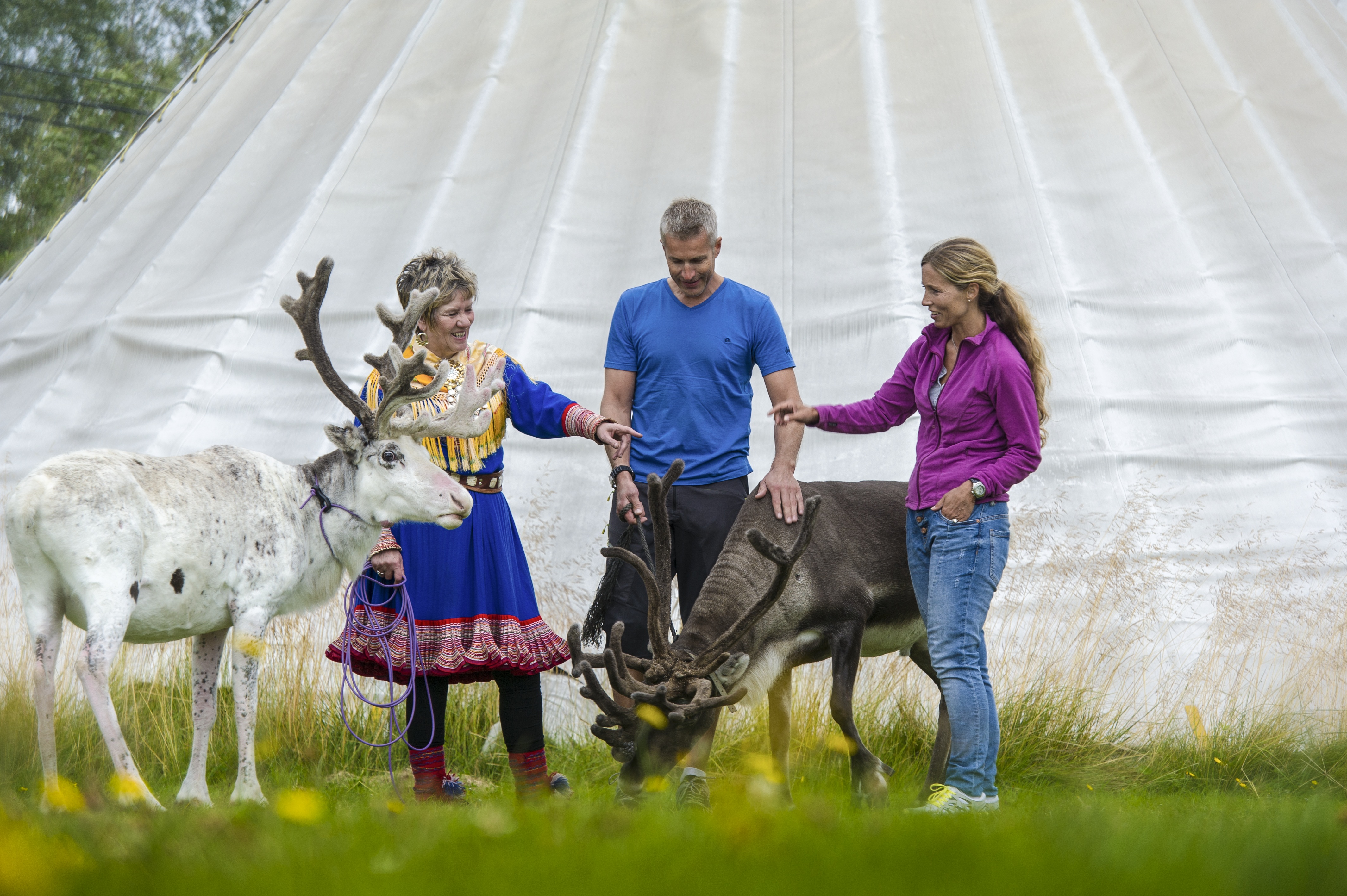 Visiting-the-sami-reindeer-camp-102013-99-0662.JPG