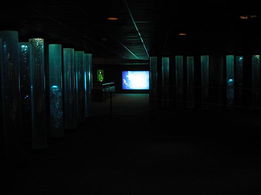 National Aquarium in Baltimore
