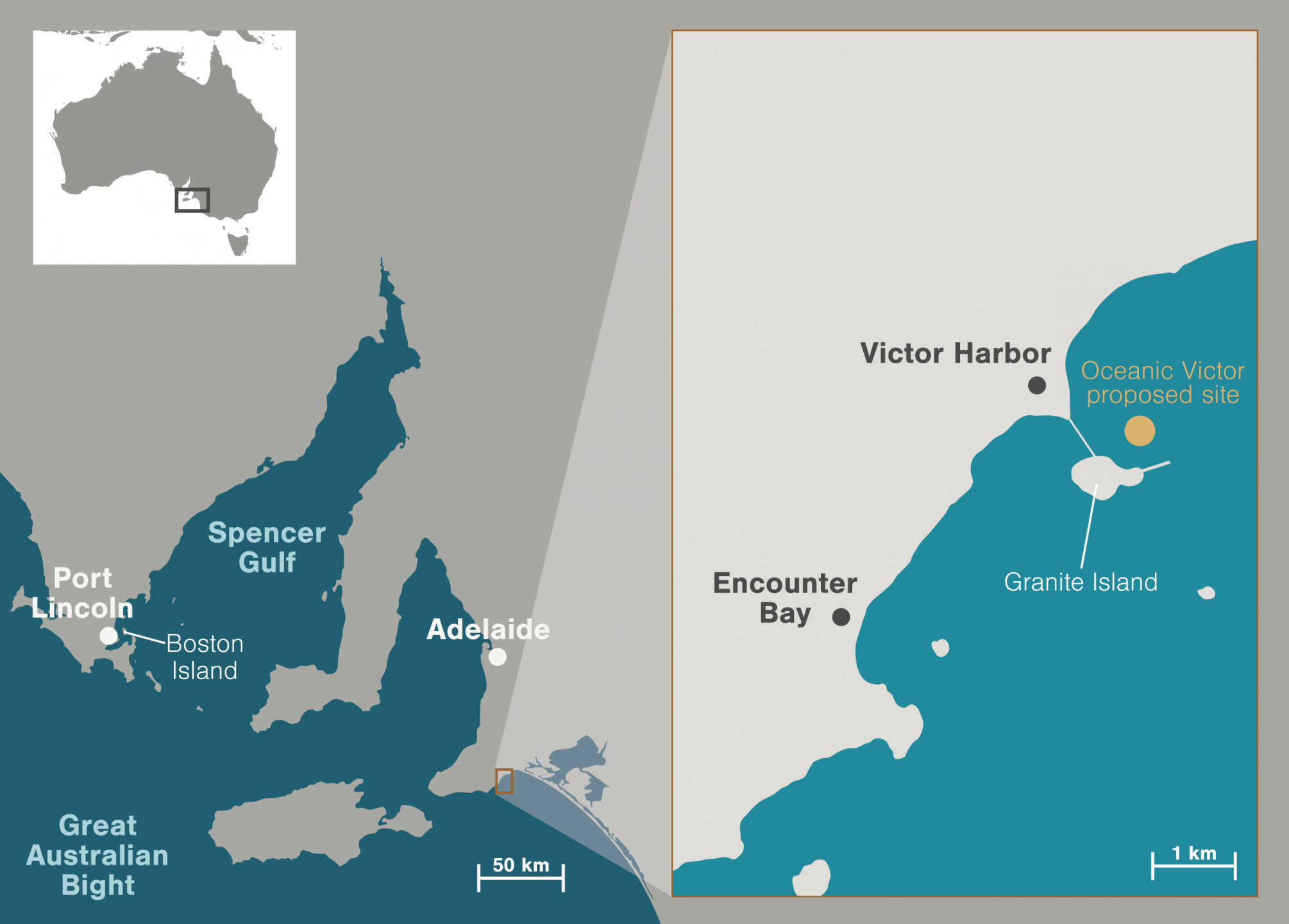 map-swim-with-tuna.png