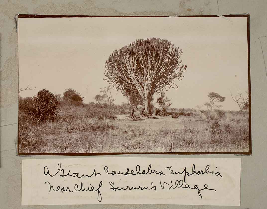 Roosevelt Expedition
