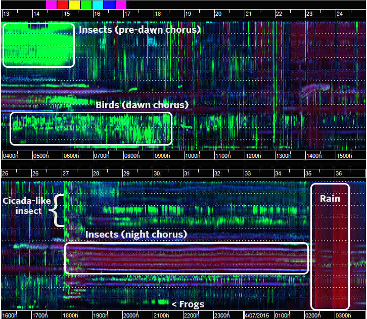 Annotated-Spectrogram.jpg