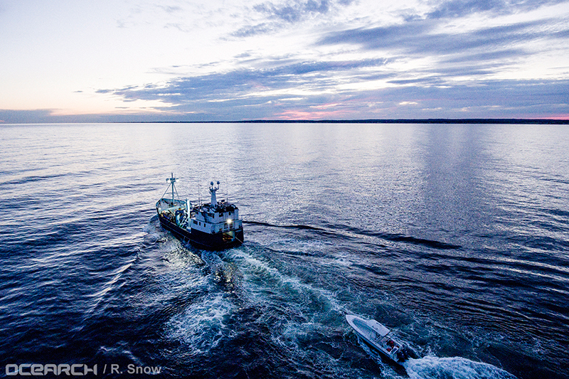 OCEARCH-boat-off-Montauk.jpg