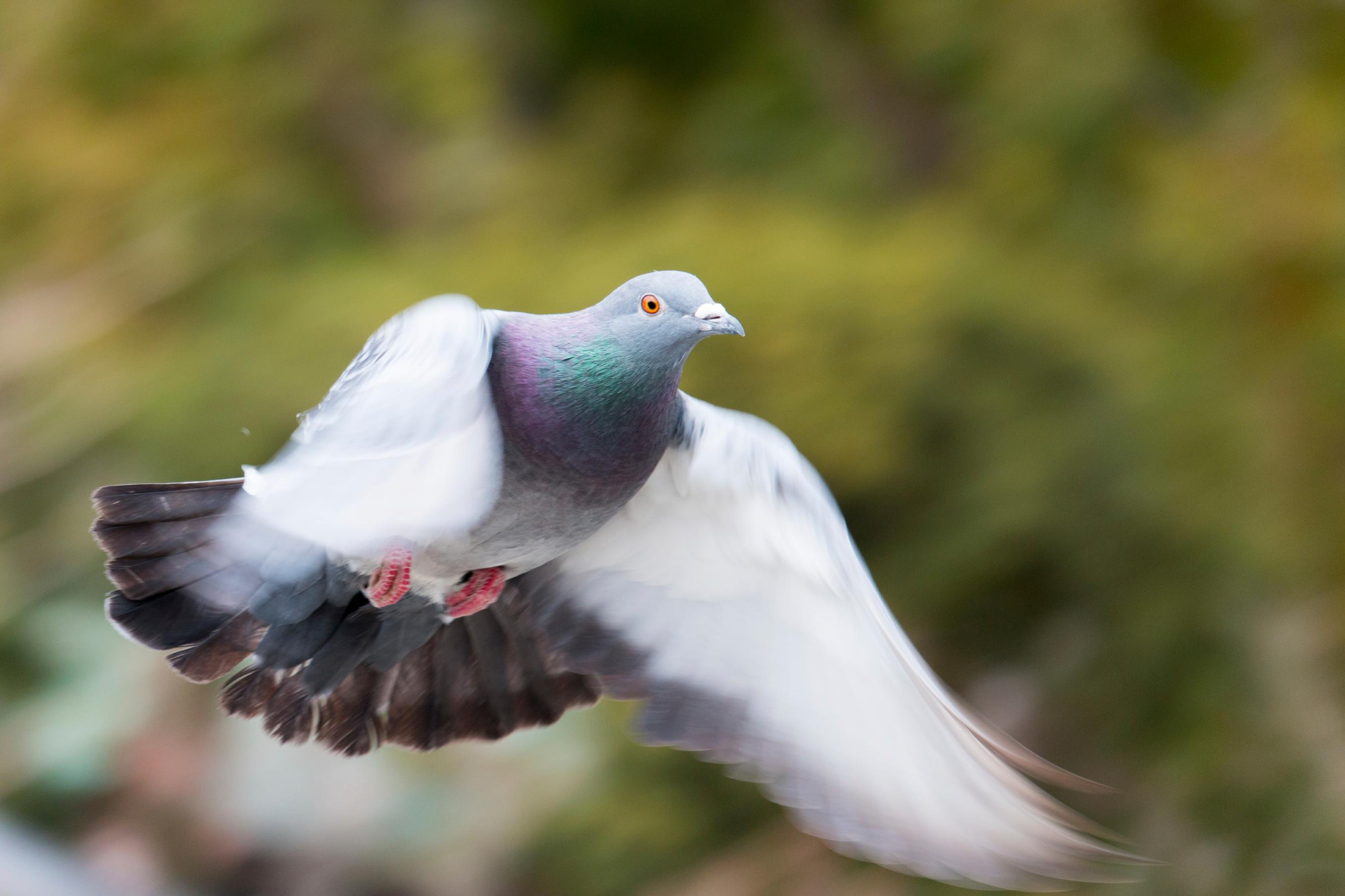 iStock_000061927122_Large.jpg