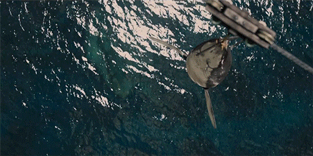 dino1.gif