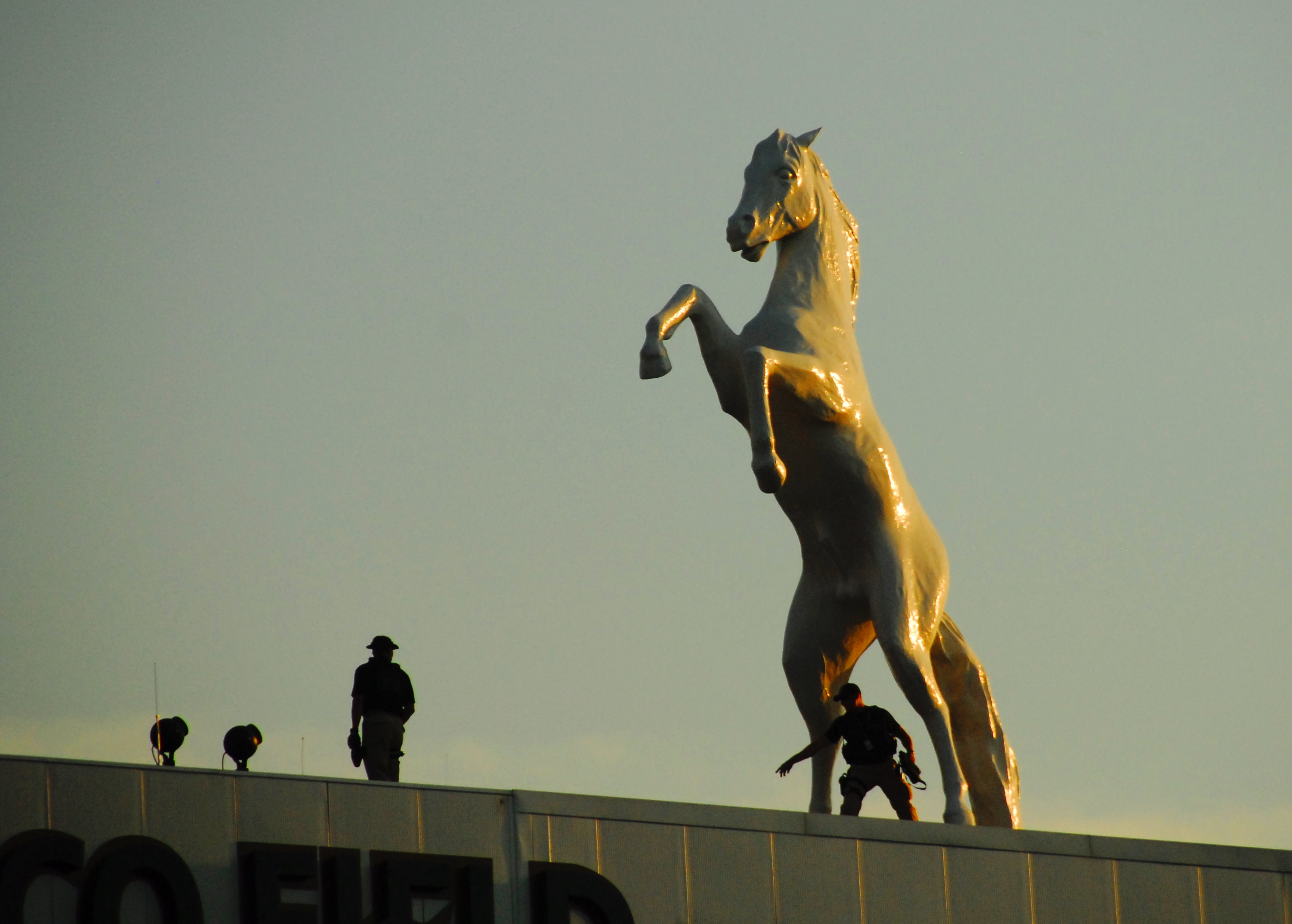 denver broncos mascot.jpg
