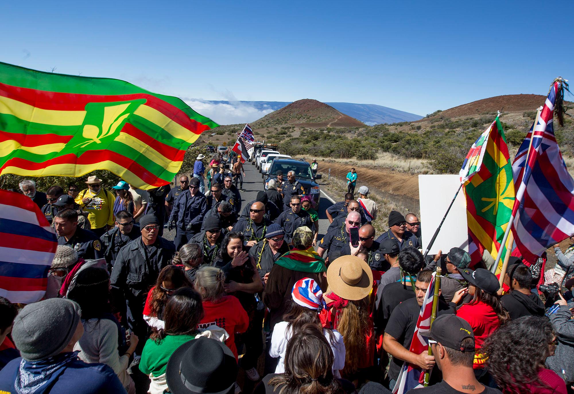 Hawaiian protesters