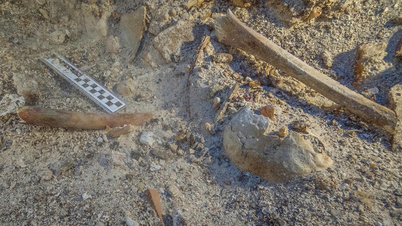 remains