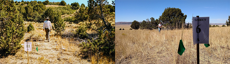 Different_Terrain.jpg