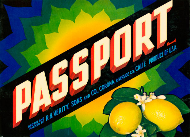 passport620.jpg