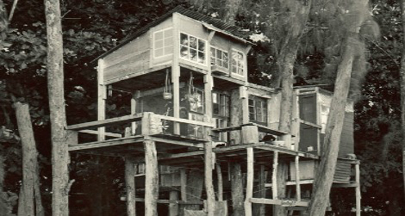 A treehouse at Taylor Camp