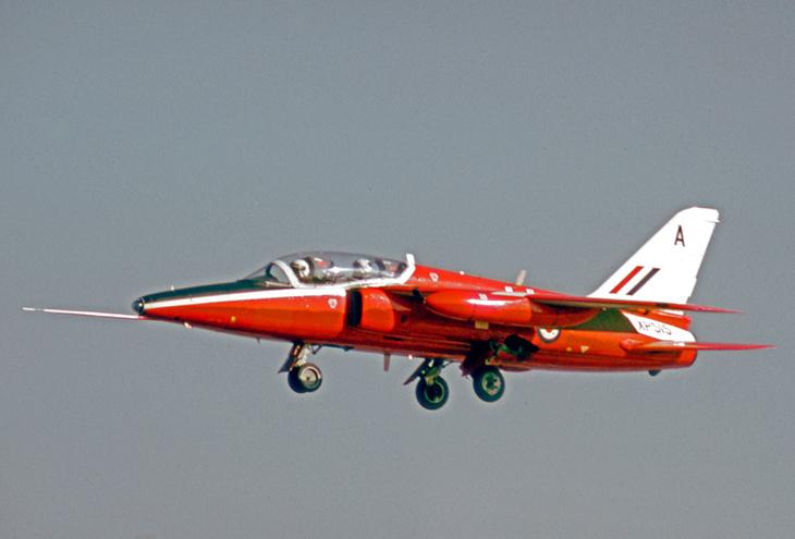 Gnat.jpg