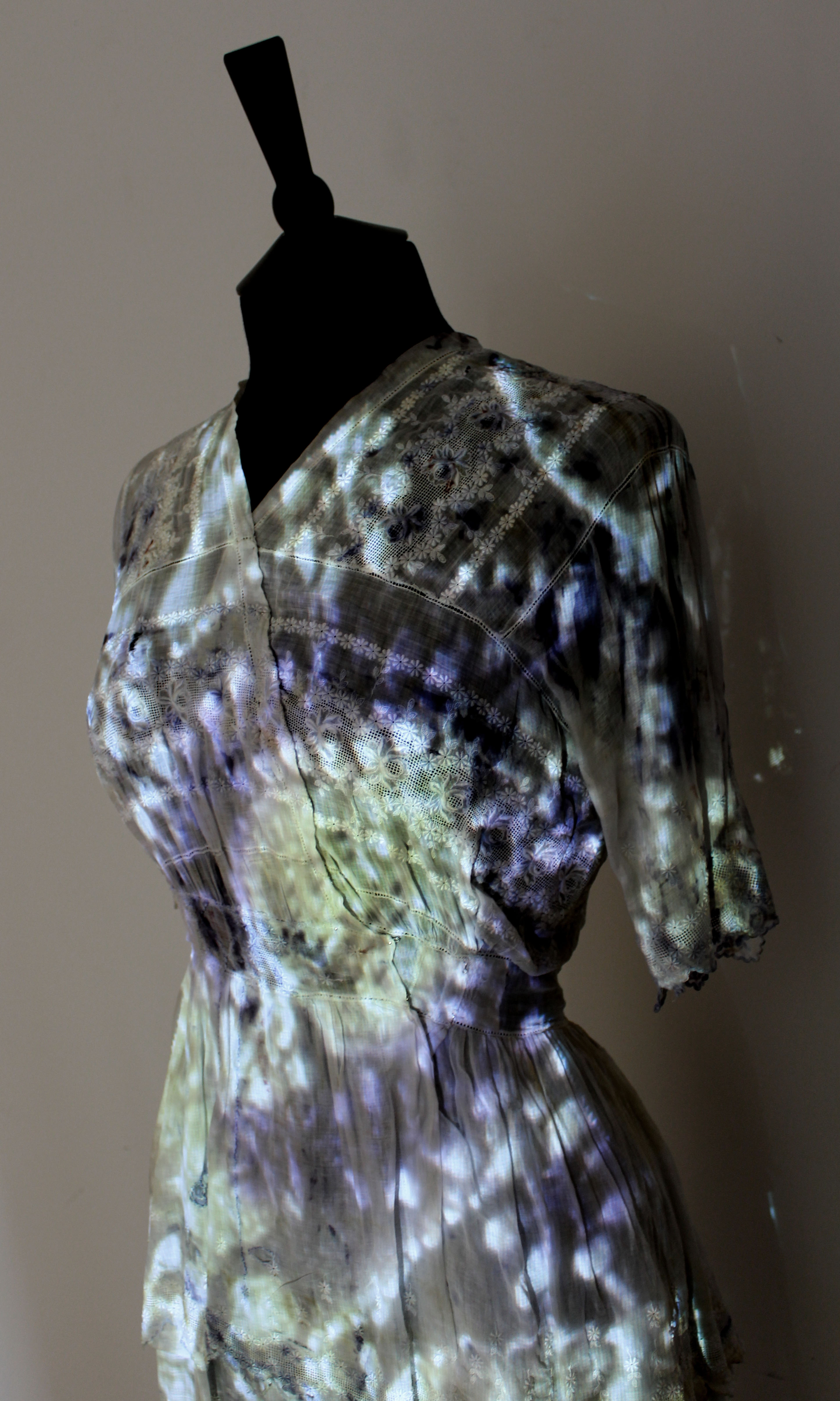 CommunicatingBacteriaDress.jpg