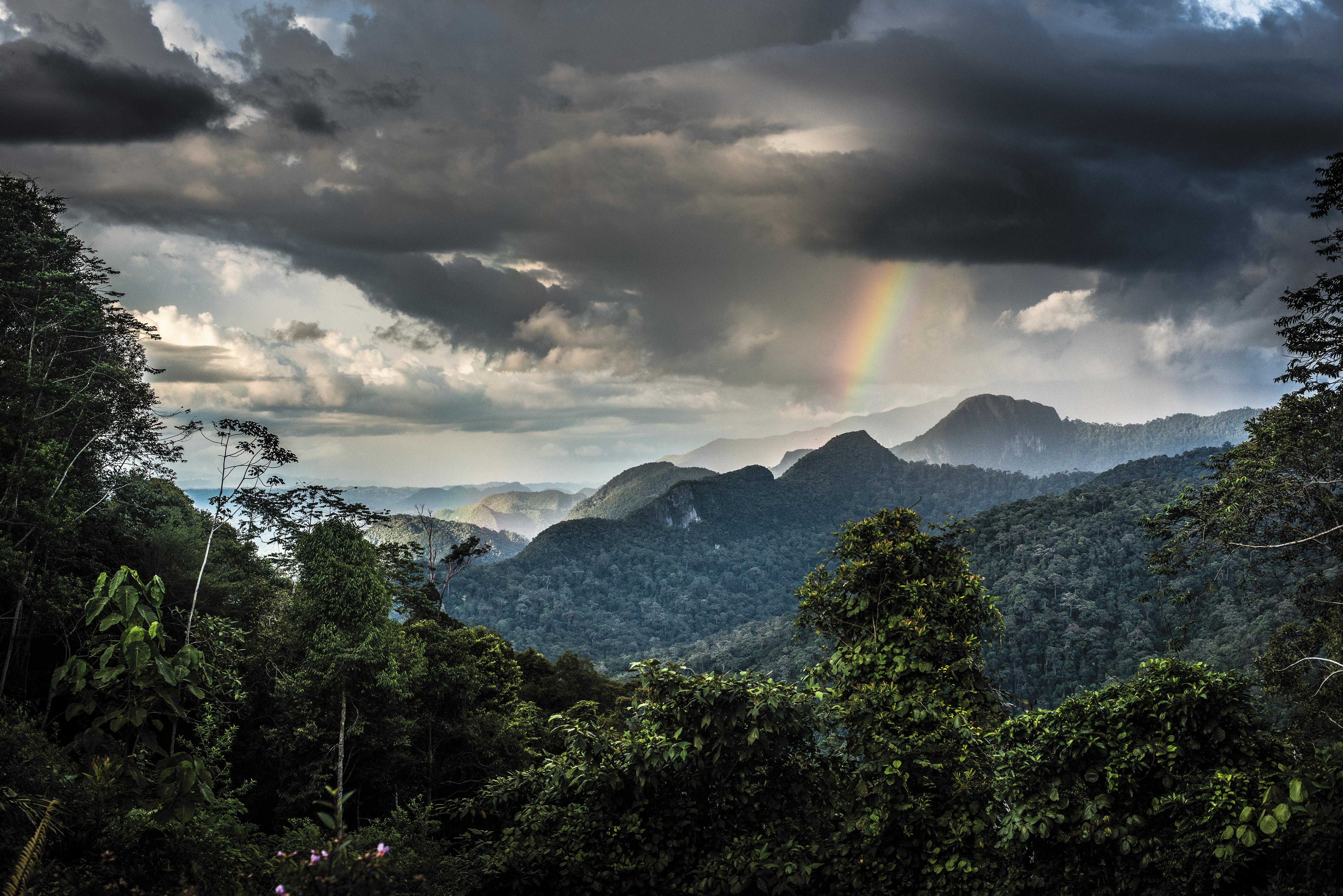MAR2016_H01_Borneo.jpg