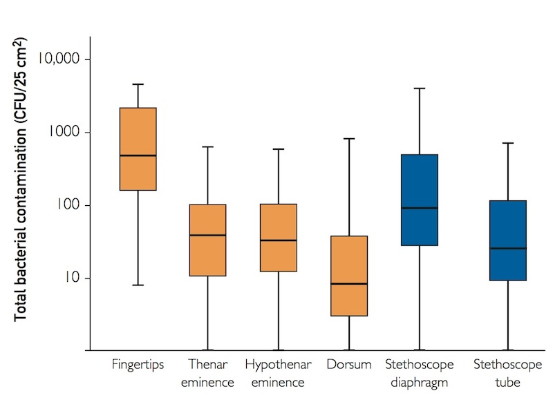bacteria graph.jpg