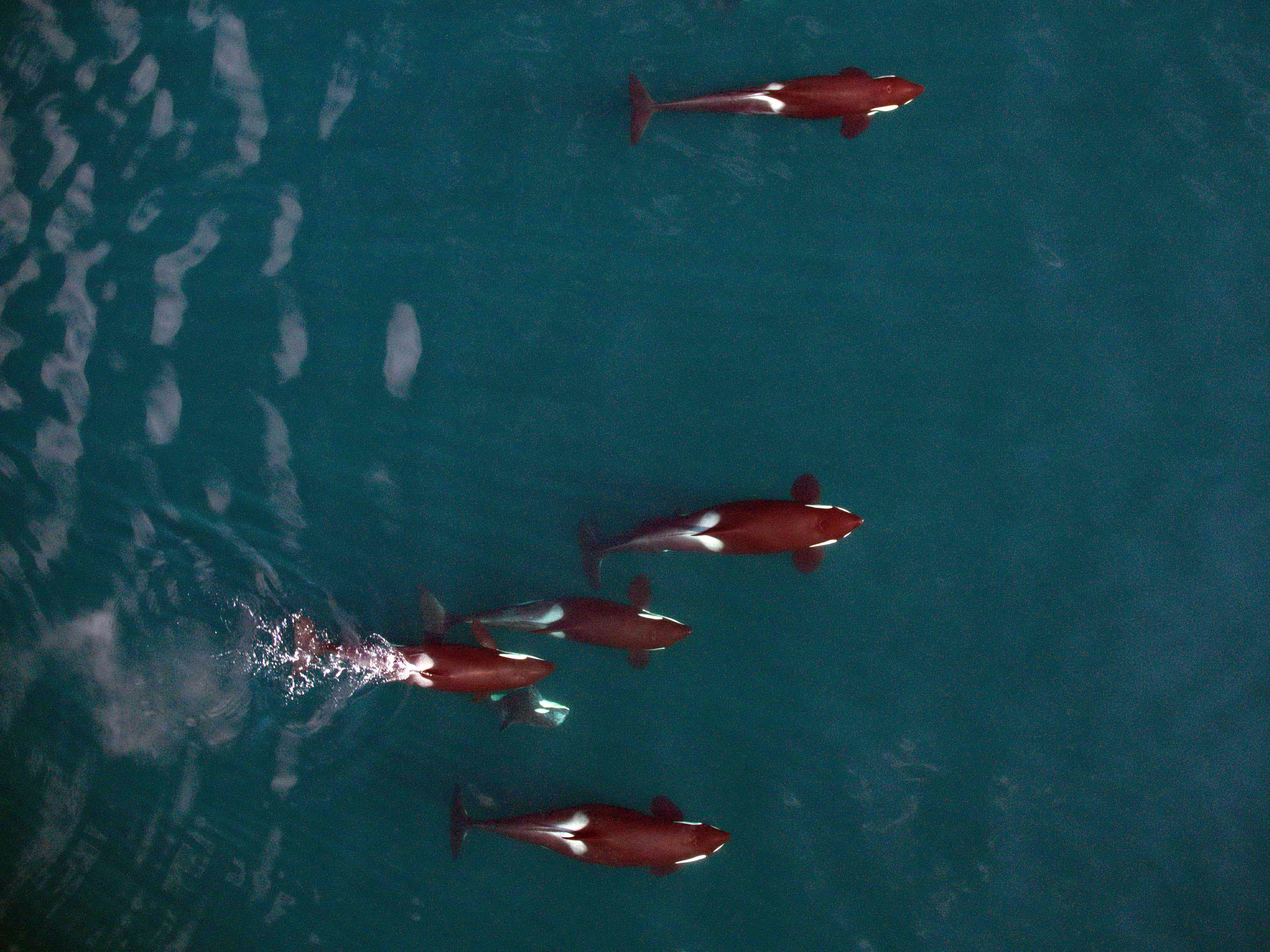 nrkw_from_above03.jpg