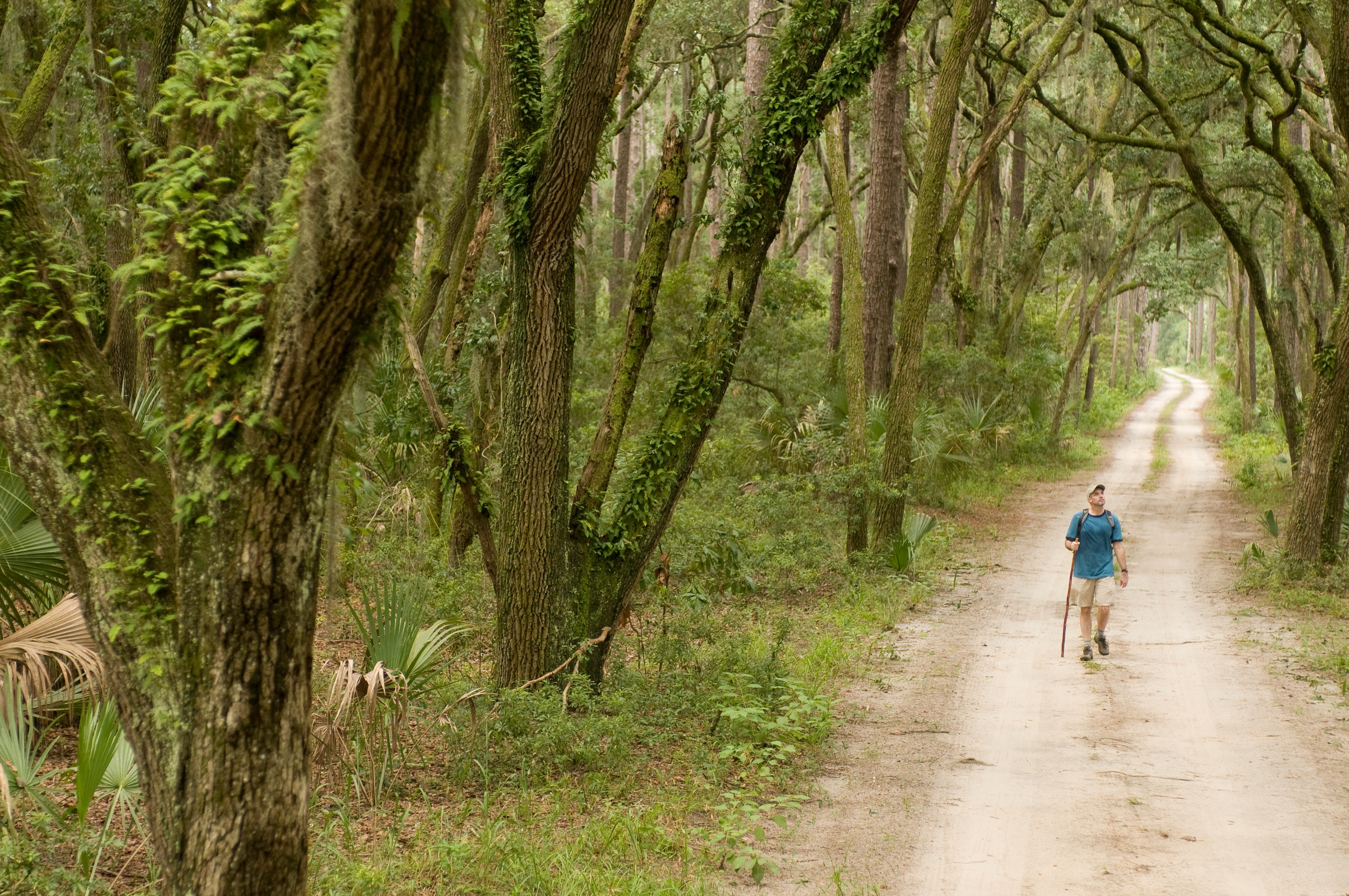 River Road Preserve.jpg