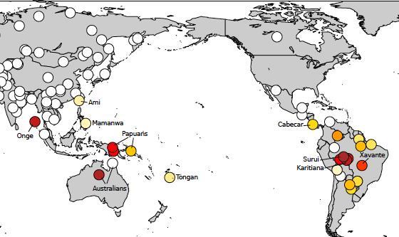 A Dna Search For The First Americans Links Amazon Groups To Indigenous