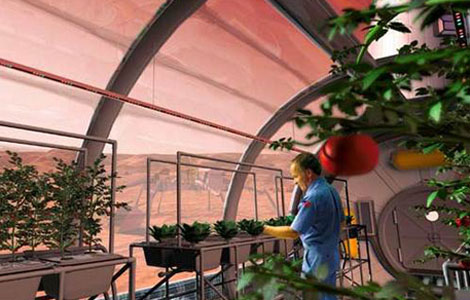 MarsFarm_m_0515.jpg