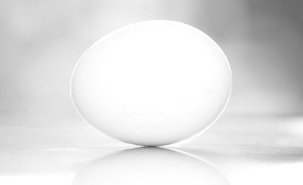 egg.jpg
