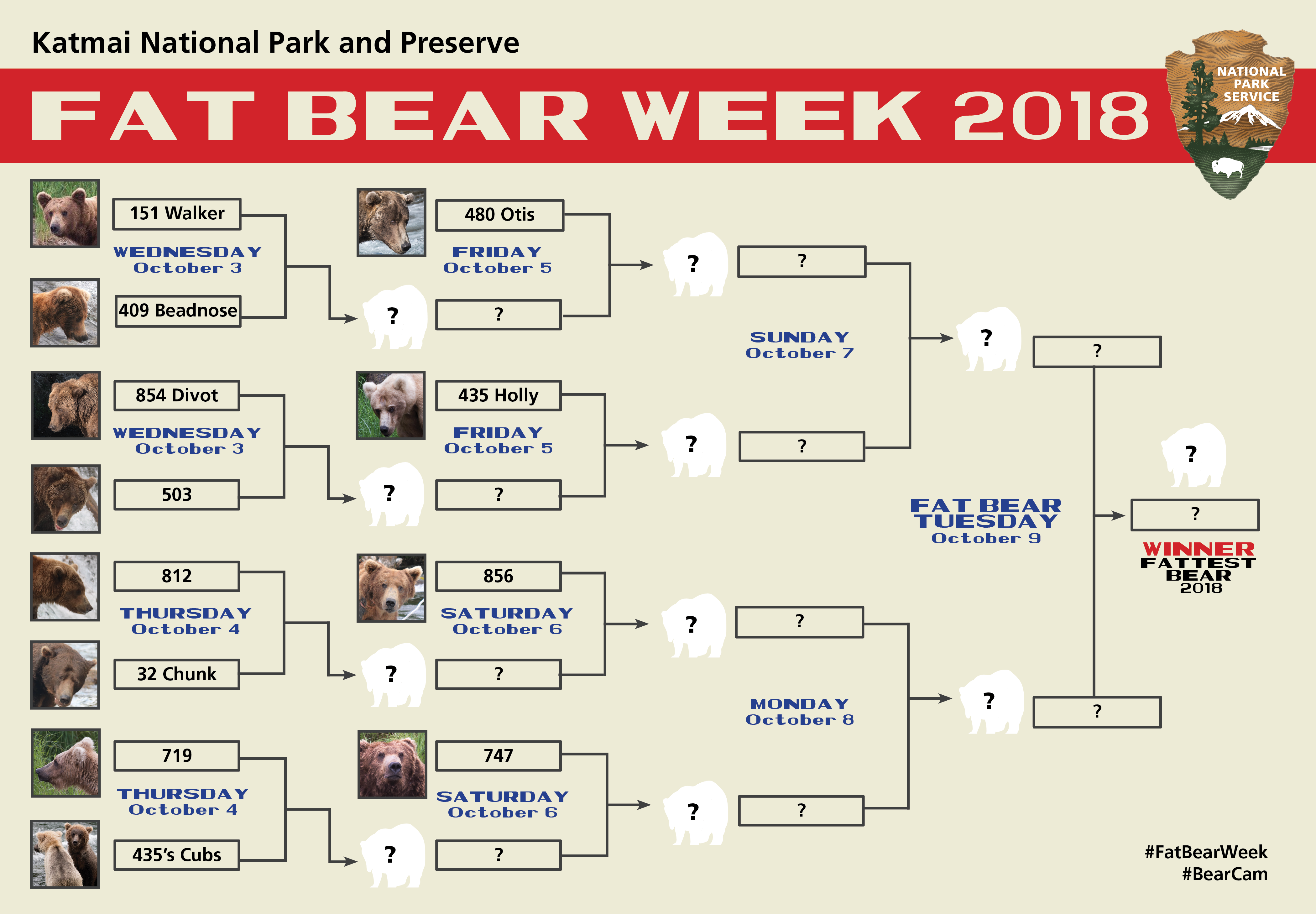 Fat Bear Bracket.png
