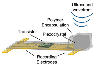 diagram-uc-berkeley-sensor-nerves.jpg