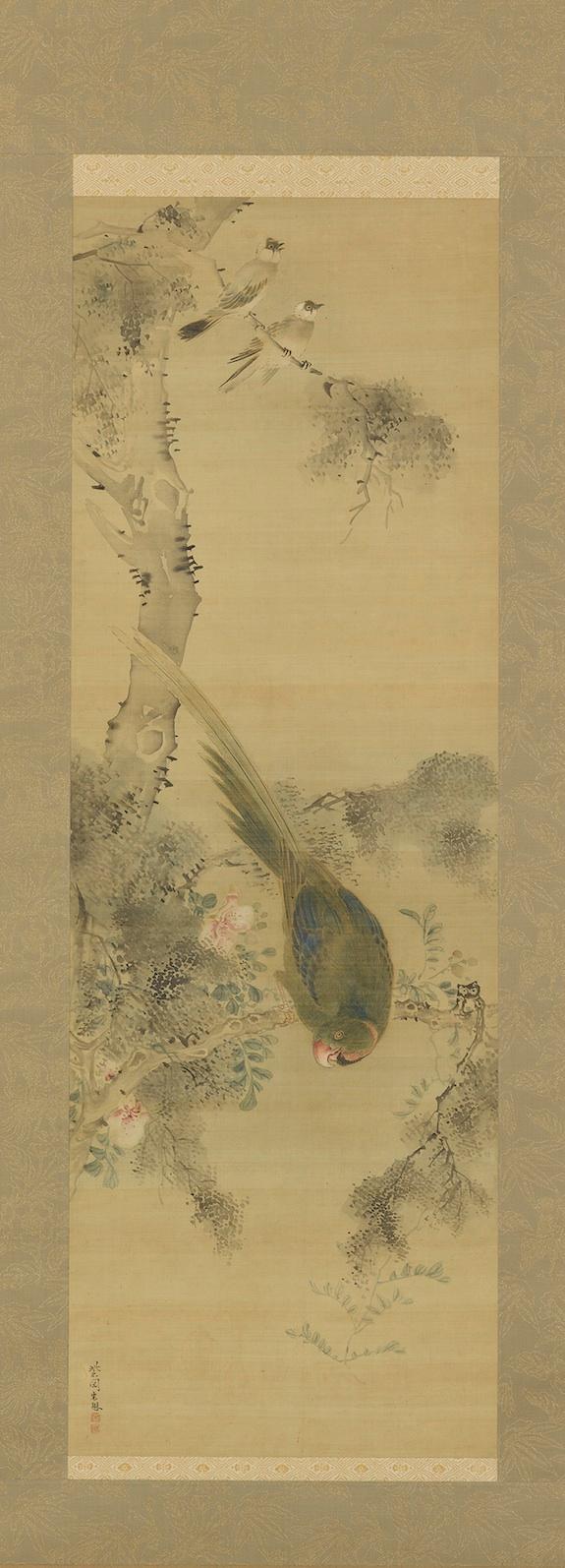 Parrot on a branch