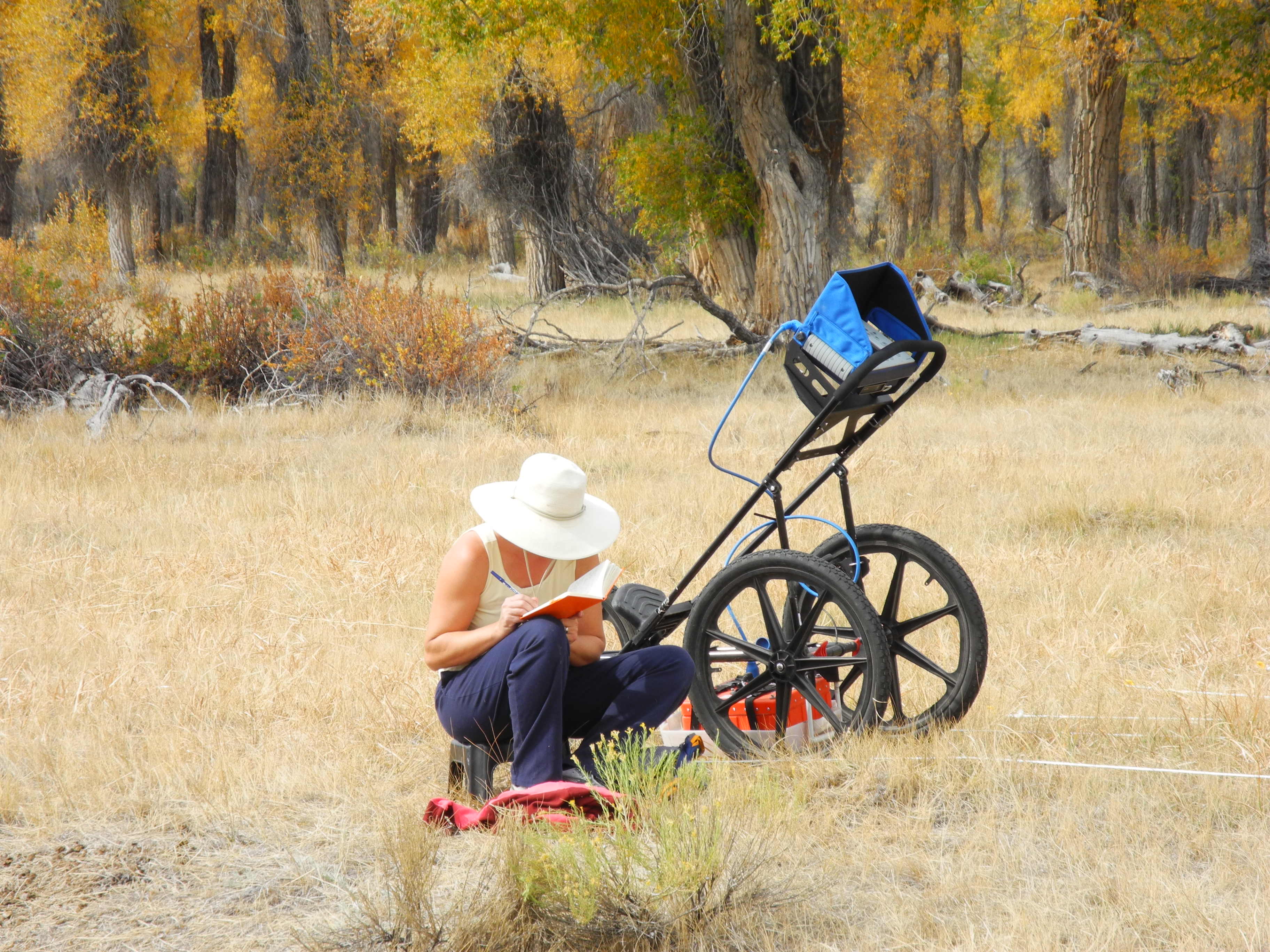 ground penetrating radar