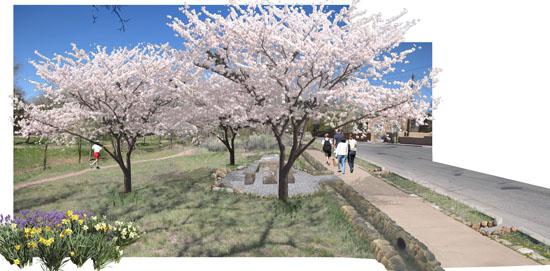 A modern stormwater acequia design for Santa Fe