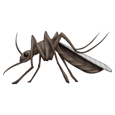 mosquito-borne disease outbreaks