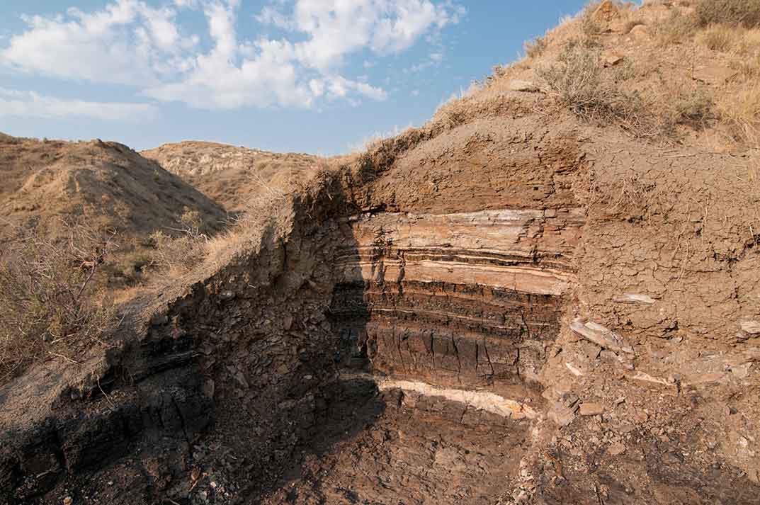 Denver Basin