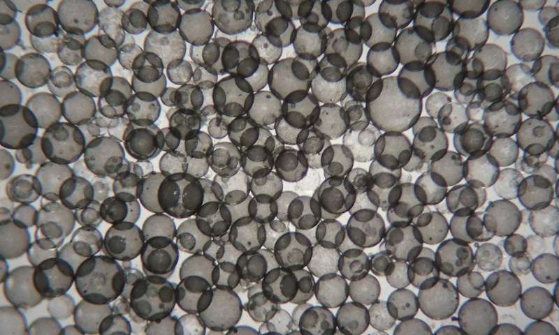 graphene.jpg