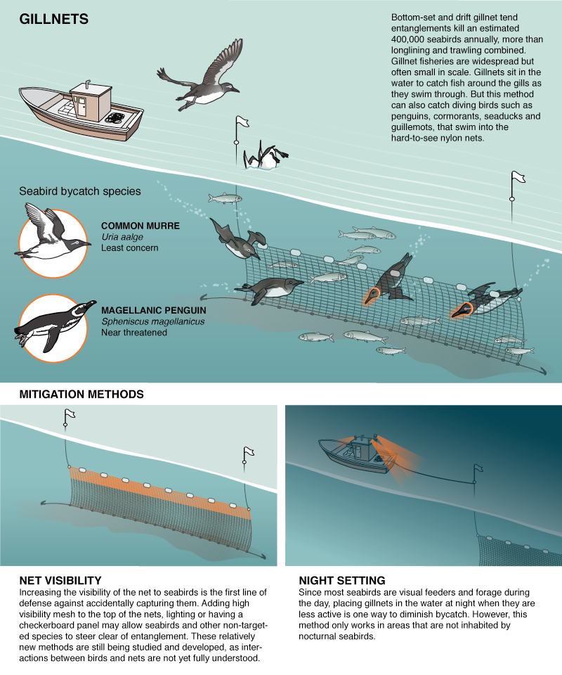 gillnet.png