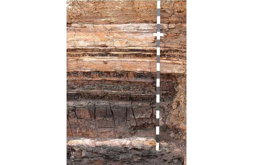 Sedimentary Rock, Denver Basin