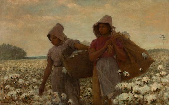 A break in the cotton