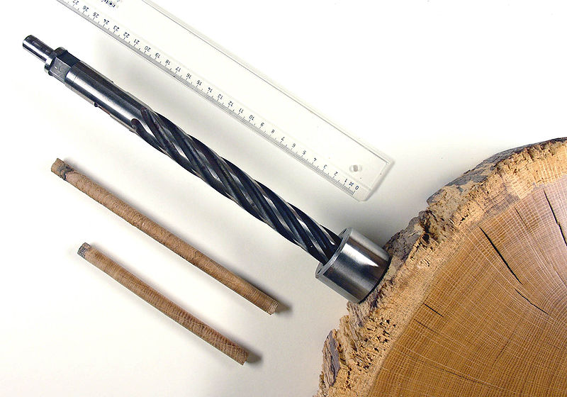 800px-Dendrochronological_drill_hg.jpg