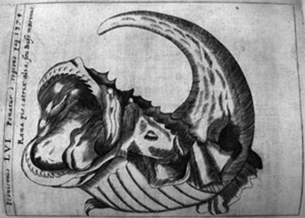 physica-curiosa-3.jpg