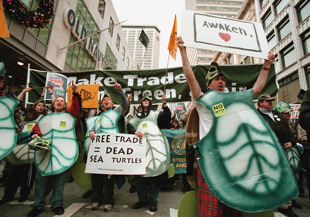 Turtle Suit, Seattle, Washington