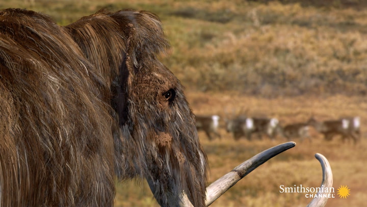 What Really Killed Off the Woolly Mammoth? | Smithsonian